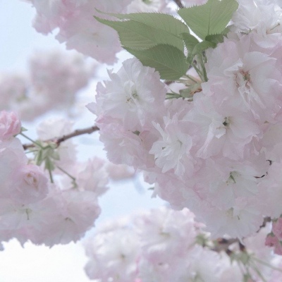 兽设场景氛围营造FurryQQ群